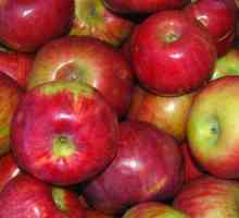 Як вибрати яблука