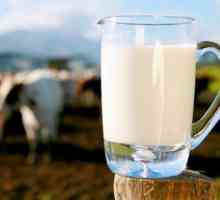 Які корисні елементи містяться в молоці