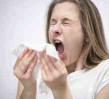 Алергічне чхання - небезпечно воно для оточуючих