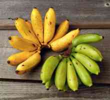 Банан - це фрукт або ягода?
