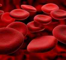 Що робити якщо лімфоцити в крові підвищені