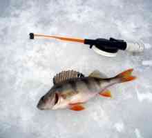 Що потрібно для зимової риболовлі