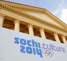 Що можна побачити на культурній олімпіаді в сочи 2014