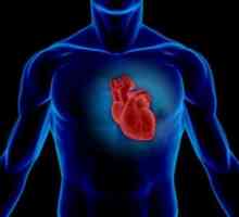 Що являє собою клапан серця
