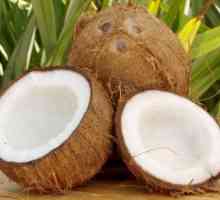 Що приготувати з кокоса