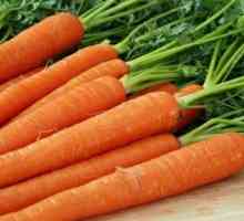 Що приготувати зі звичайної моркви