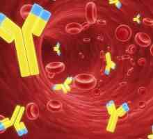Що таке антитіла в крові