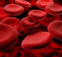 Що таке реологія крові