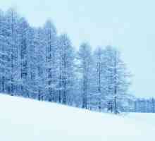 Що таке снігопад як явище природи
