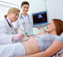 Що входить в медобстеження вагітних