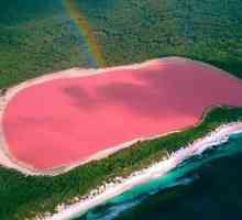 Де розташоване озеро, вода в якому рожевого кольору