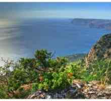 Південний берег криму - рай для туристів