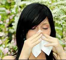 Як і коли проявляється алергія на цвітіння