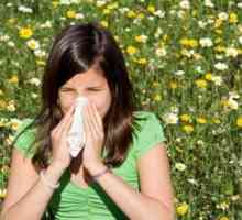 Як позбутися від алергії на пилок