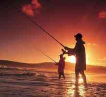 Як ловити рибу влітку