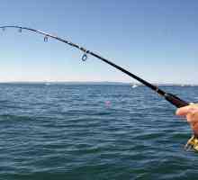 Як ловити рибу в чорному морі