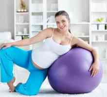 Як змінюється живіт при вагітності