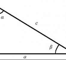 Як знайти периметр прямокутного трикутника