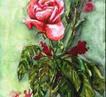 Як намалювати трояндочку