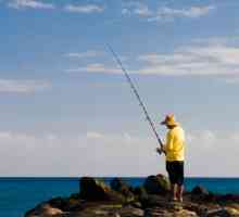 Як навчитися ловити рибу