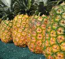 Як визначити стиглість ананаса