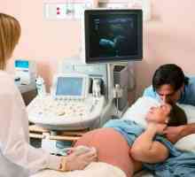 Як визначити термін вагітності по узд