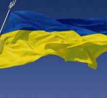 Як відзначають день конституції в україні