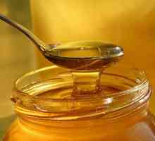 Як бджоли роблять мед