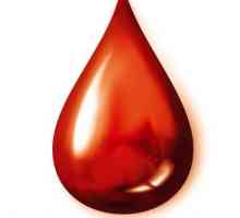 Як перестати боятися крові