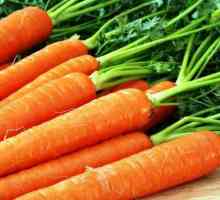 Як підготувати насіння моркви до посадки