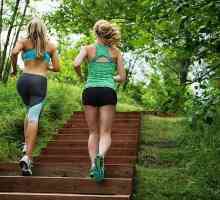 Як схуднути за допомогою тренувань на сходах