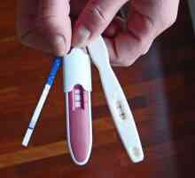 Як користуватися різними тестами на вагітність