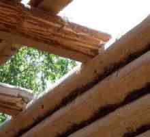 Як побудувати дах в лазні