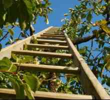 Як побудувати сходи дерев`яну