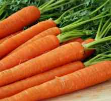 Як правильно сіяти моркву