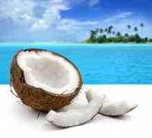 Як приготувати кокосовий лікер