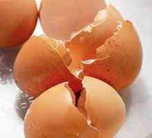 Як приймати шкаралупу від яєць
