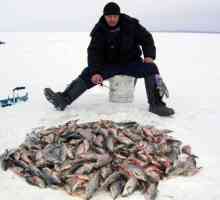 Як проходить зимова риболовля