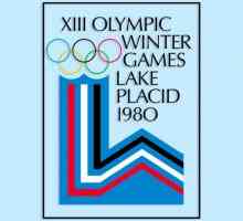 Як пройшла олімпіада 1980 року в лейк-плесід