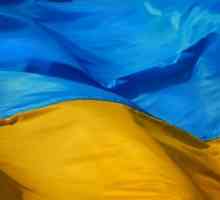 Як перевірити ліцензію в україні