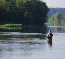 Як рибалити в проточній річці