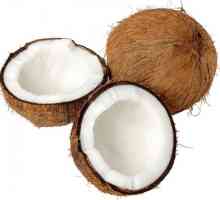 Як зробити кокосове масло в домашніх умовах
