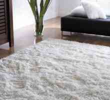 Як зробити суху чистку килимів