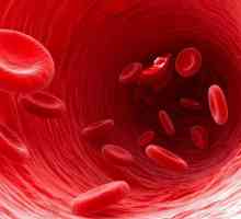 Як знизити в`язкість крові