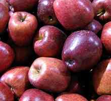 Як зберегти яблука взимку