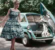 Як зшити плаття в стилі 50-60 років