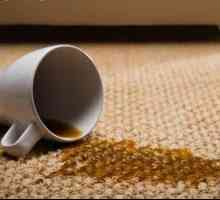 Як прибрати плями на килимі