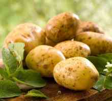 Як варити молоду картоплю