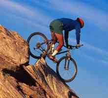 Як вибрати гірський велосипед