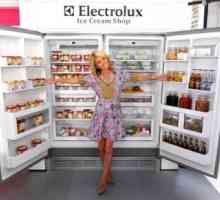 Як вибрати холодильник для будинку поради